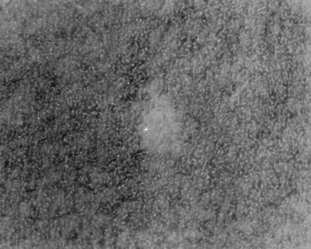 A grayscale aerial thermal image of a meadow: a faint warm patch with a small bright point marks a fawn hidden in the grass.